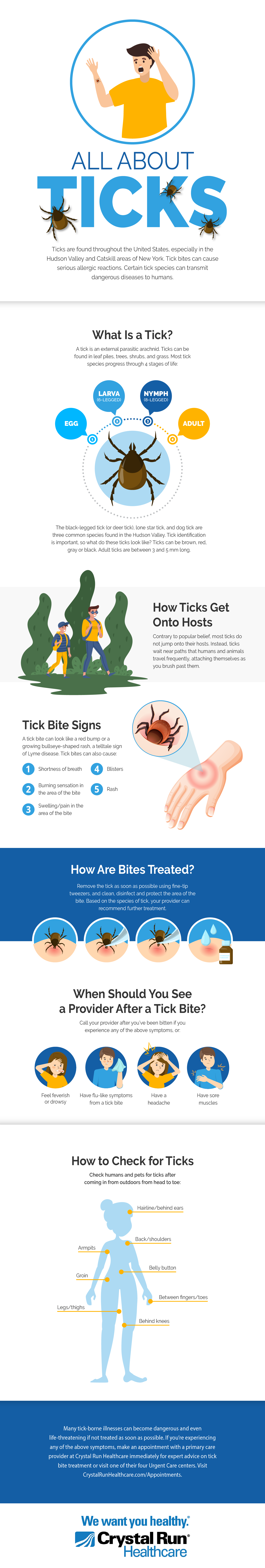 All About Ticks Infographic
