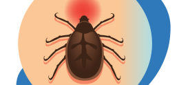 lyme-disease-feature-image