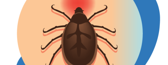 lyme-disease-feature-image